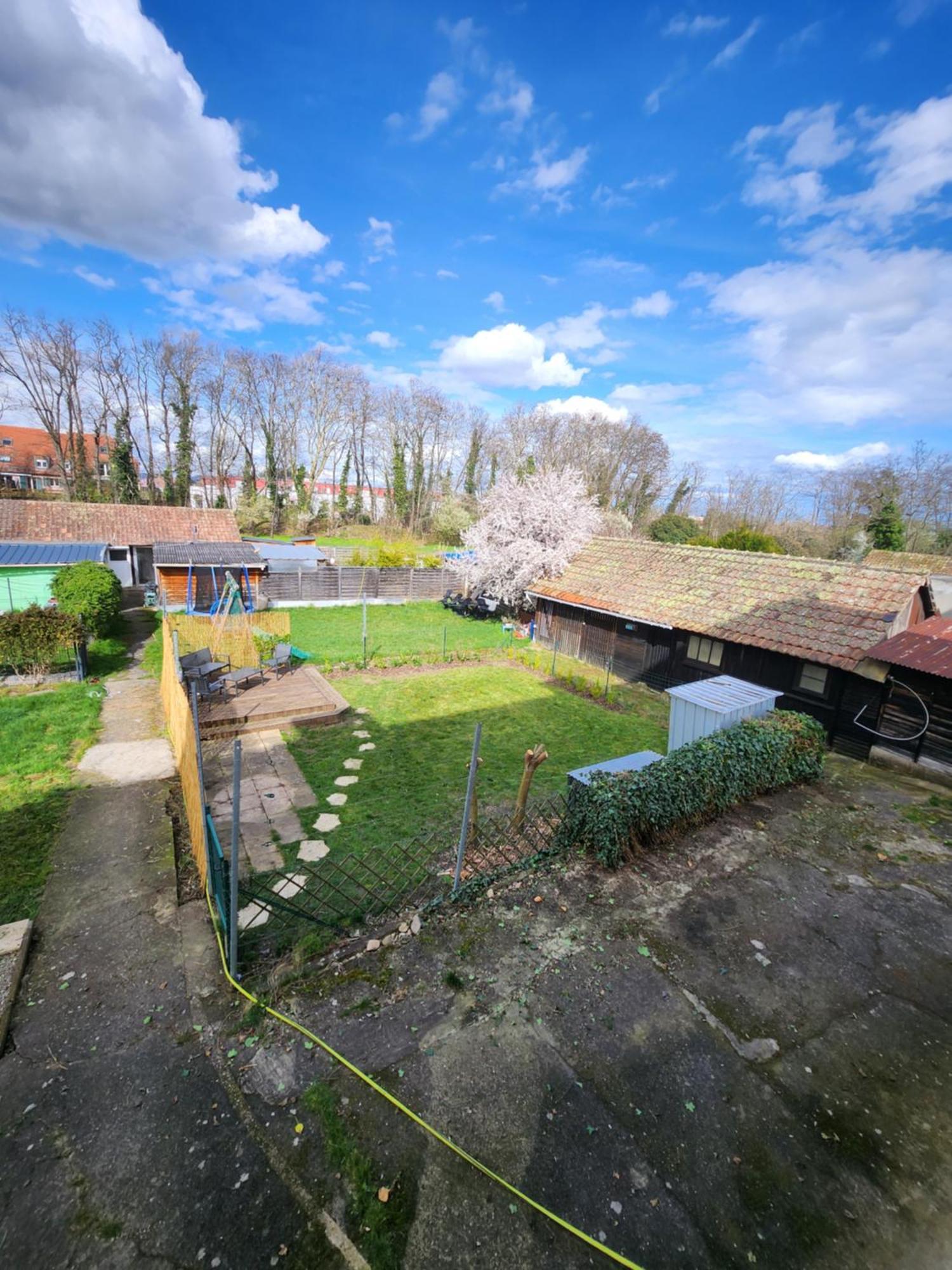 Gite Du Logelbach Wintzenheim Exterior foto